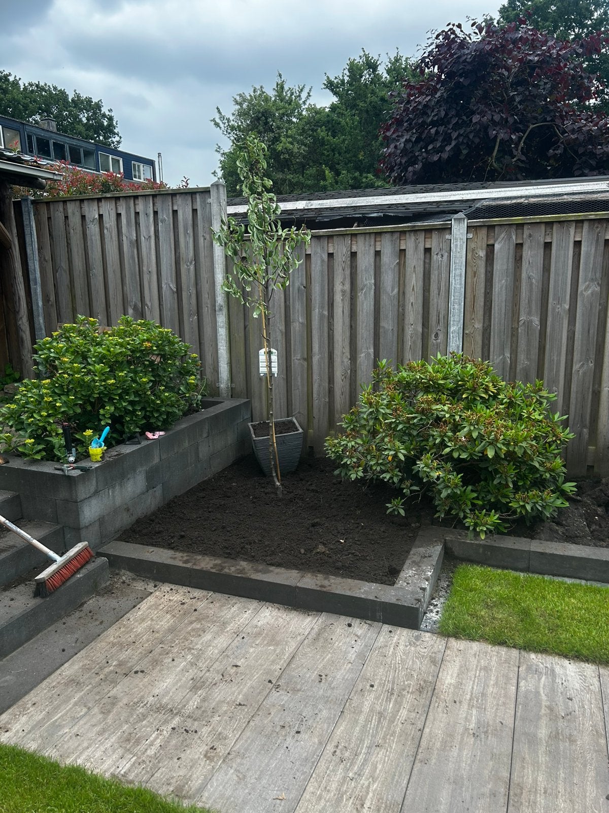 Perenboom, Ophalen, Minder dan 100 cm
