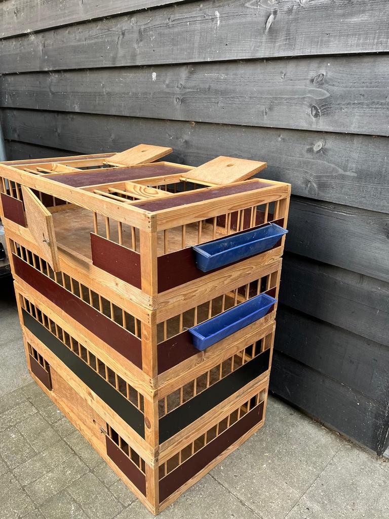 4 houten duiven manden, Meerdere dieren, Postduif