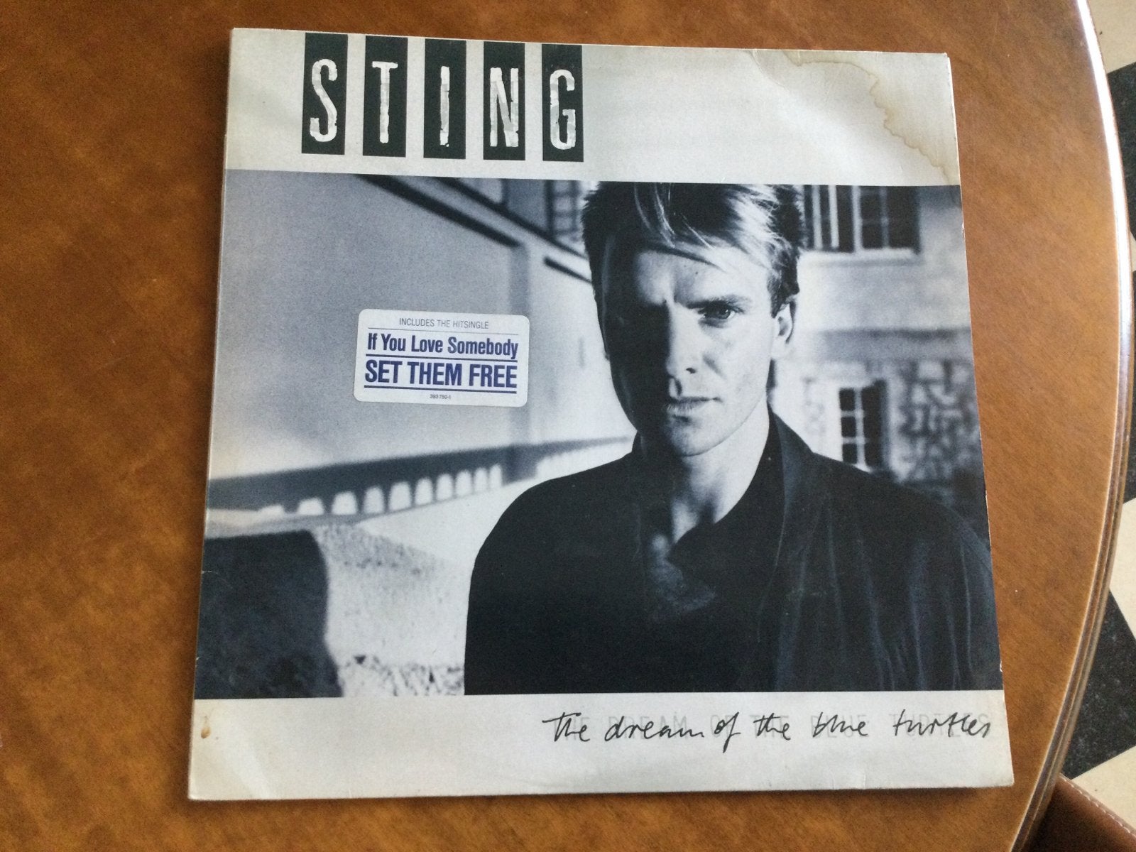 LP Sting, Cd's en Dvd's, Vinyl | Rock, Ophalen of Verzenden, Gebruikt, 12 inch, Singer-songwriter