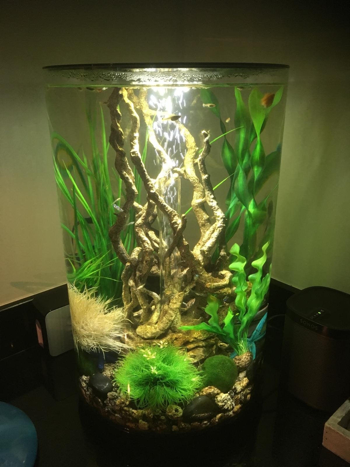 Biorb Tube 30 led zwart, Dieren en Toebehoren, Ophalen of Verzenden