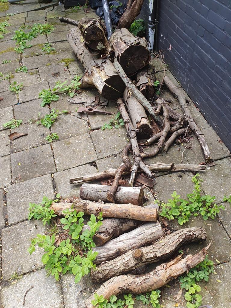 Haard hout, Tuin en Terras, Haardhout, Minder dan 3 m³, Ophalen, Stammen