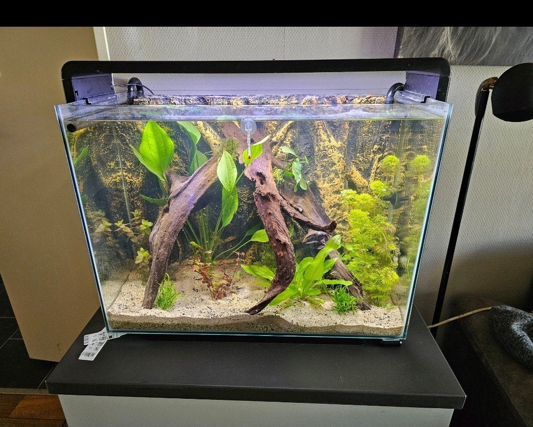 aquarium inclusief prachtige achterwand en externe filter., Ophalen of Verzenden, Gebruikt, Leeg aquarium