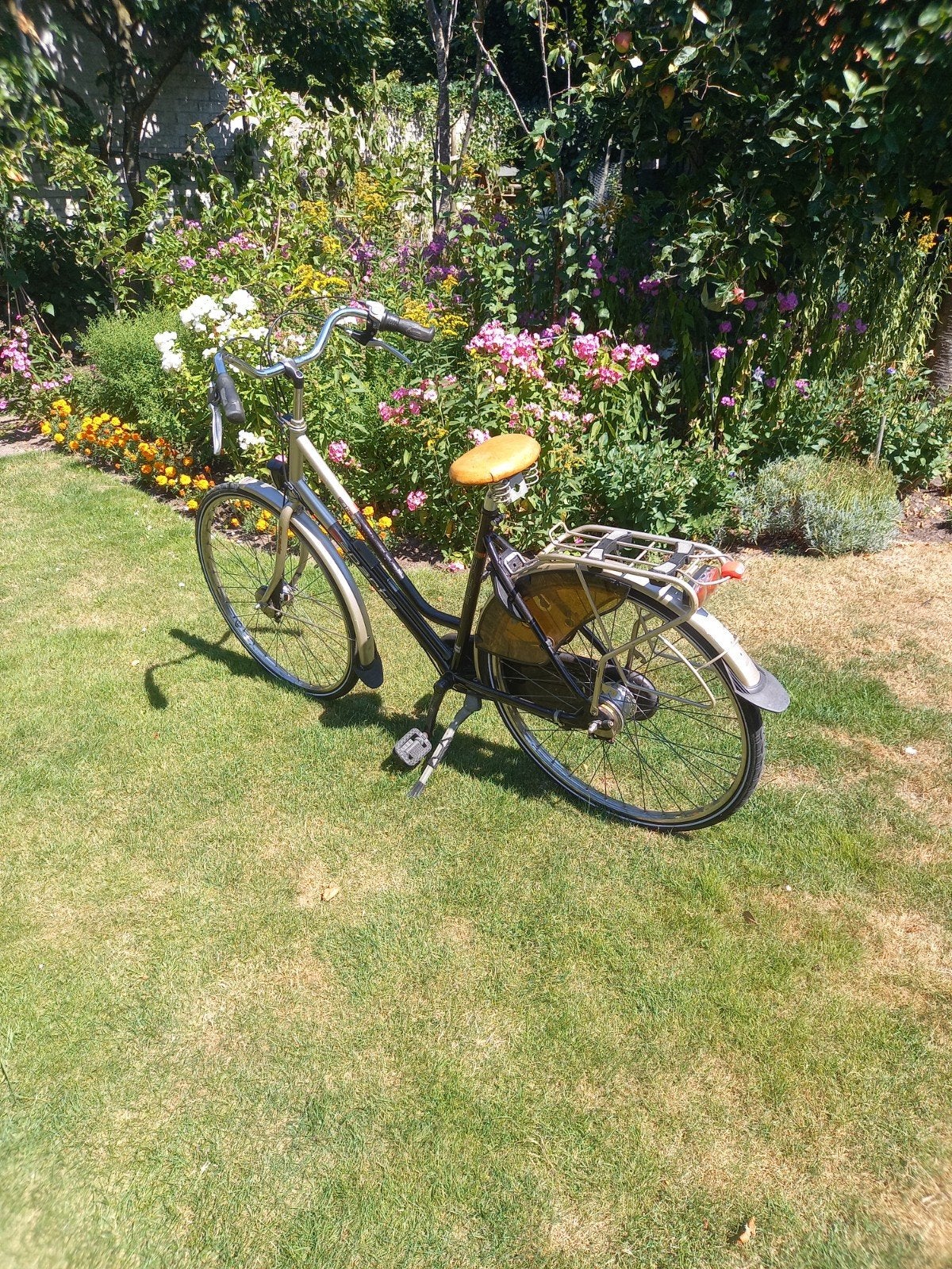 Damesfiets SPARTA met lage instap en bagagedrager, Trommelrem, Ophalen, Overige merken, 53 tot 56 cm