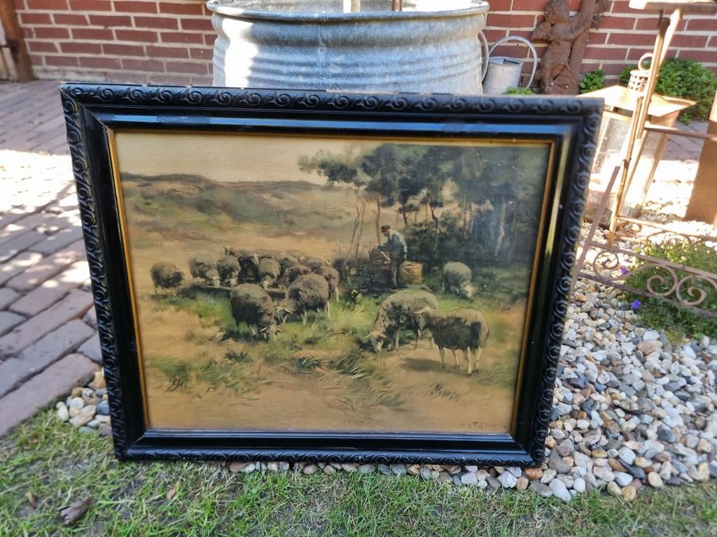 Oude aquarel schapen gesigneerd * schapenweide, Antiek en Kunst, Curiosa en Brocante, Ophalen