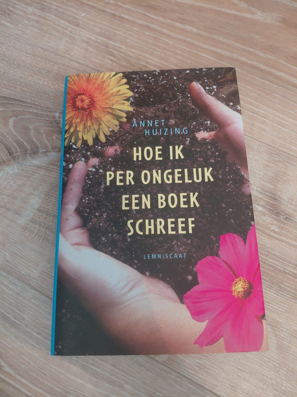 Annet Huizing - Hoe ik per ongeluk een boek schreef, Boeken, Ophalen of Verzenden, Zo goed als nieuw, Annet Huizing