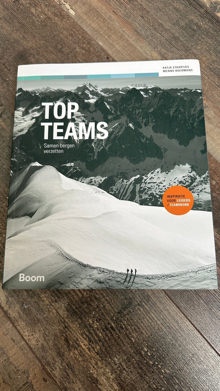 Top Teams: Samen bergen verzetten - Inspiratie voor leiders, Ophalen of Verzenden, Nieuw, Nederland