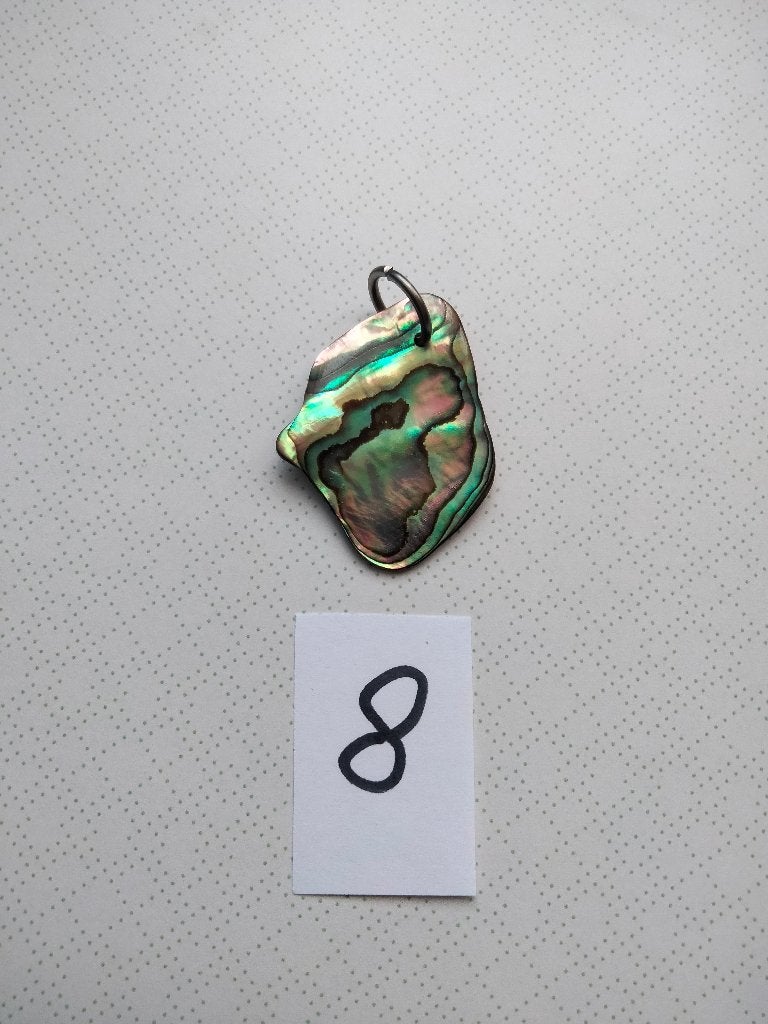 Unieke Abalone Schelp Hanger - Kleurrijk en Natuurlijk, Ophalen, Overige materialen, Overige voorstellingen, Nieuw