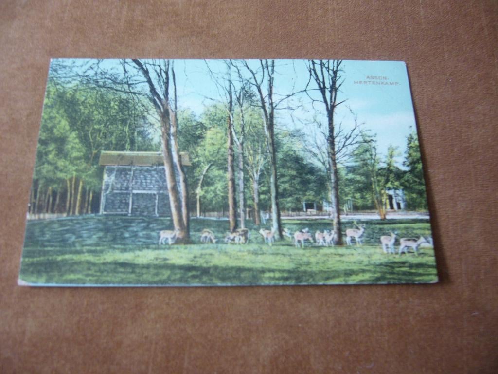ASSEN  =  HERTENKAMP  1903, Ophalen of Verzenden, Voor 1920, Gelopen, Drenthe