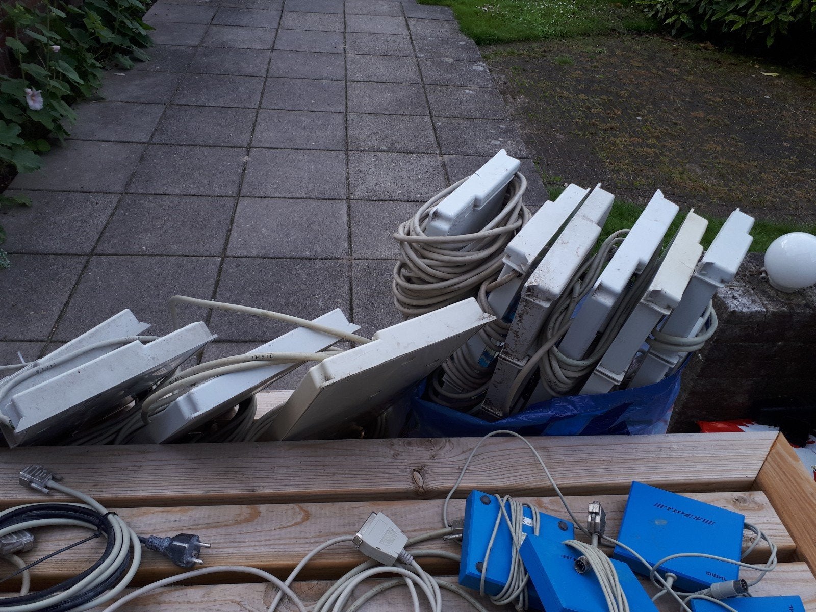 10 tipes antennes met defect, Meerdere dieren, Overige soorten
