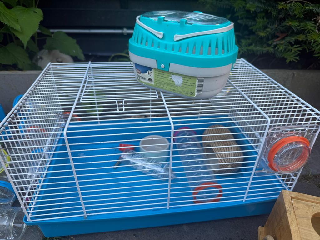 Hamsterkooi met accessoires, Dieren en Toebehoren, Knaagdieren en Konijnen | Hokken en Kooien, Kooi, Gebruikt, Minder dan 75 cm