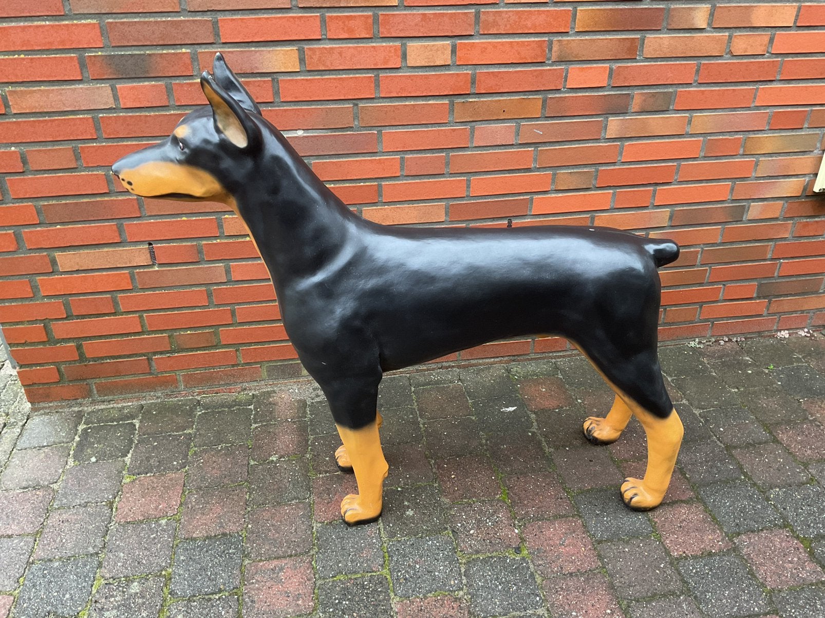 Beeld hond ware grootte - Doberman Mechelse herder, Ophalen, Zo goed als nieuw, Dier