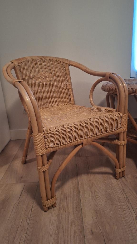 Set van twee rotan / bistro stoelen, Ophalen, Gebruikt, Twee, Bruin