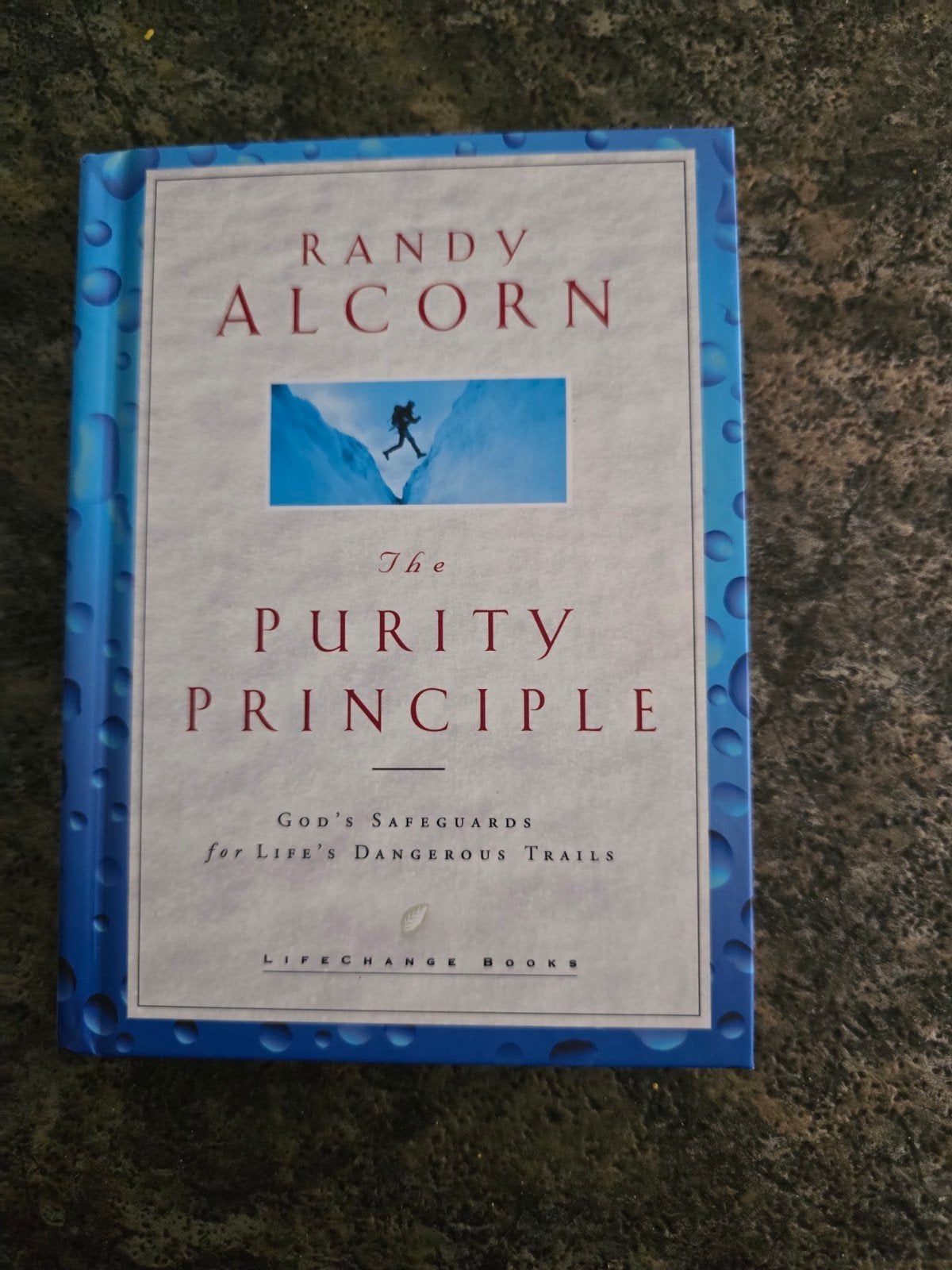The Purity Principle - Randy Alcorn (Engels), Boeken, Ophalen of Verzenden, Zo goed als nieuw, Randy Alcorn, Christendom | Protestants