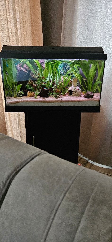 aquarium van jewel met toebehoren en vissen, Gebruikt, Ophalen of Verzenden, Gevuld zoetwateraquarium, Inclusief vissen