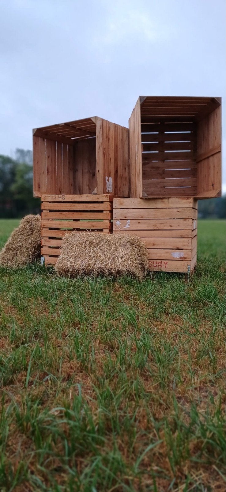 Robuuste opslag boxen, Ophalen of Verzenden, Minder dan 250 cm, Schuur, Zonder ramen