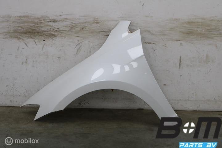 Spatscherm LV VW Golf 7 FL LOK1 5G0821105B, Gebruikt