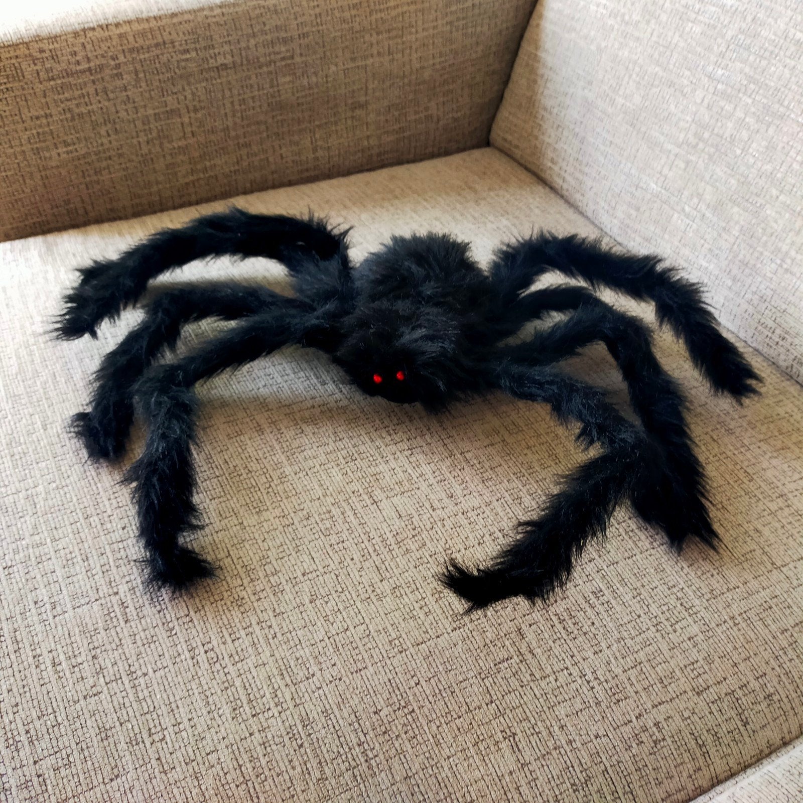 Grote Halloween Spin met Rode Ogen - Spookachtige Decoratie, Ophalen, Gebruikt, Versiering, Halloween of Griezel