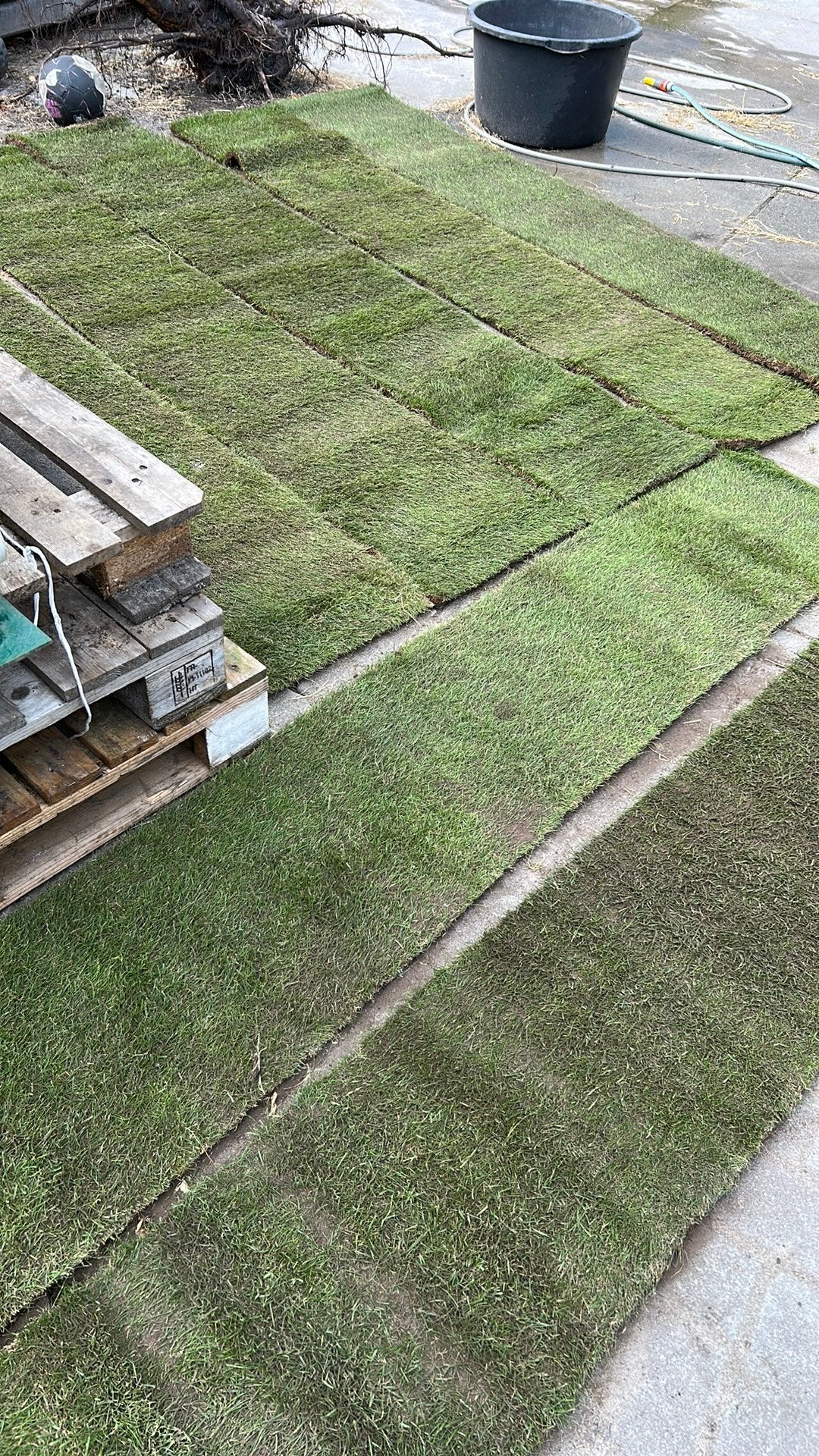 Graszoden, Ophalen of Verzenden, Zo goed als nieuw, Minder dan 10 m²