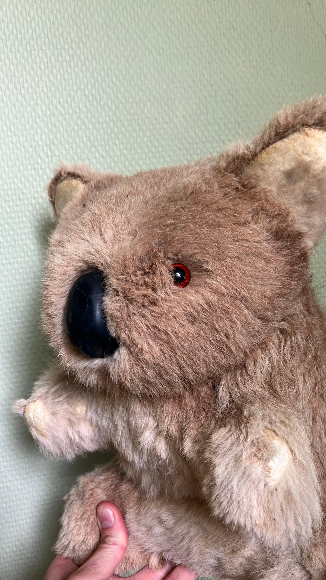 Knuffel koala antiek leer kangoeroe vintage beer kangaroo, Ophalen of Verzenden, Zo goed als nieuw, Stoffen beer, Overige merken
