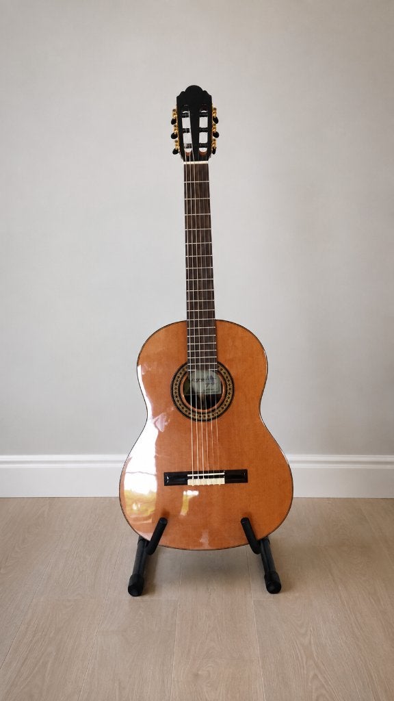 Señorita gitaar, merk Maravilla (Nieuw), Muziek en Instrumenten, Snaarinstrumenten | Gitaren | Akoestisch, Ophalen, Nieuw, Klassieke of Spaanse gitaar