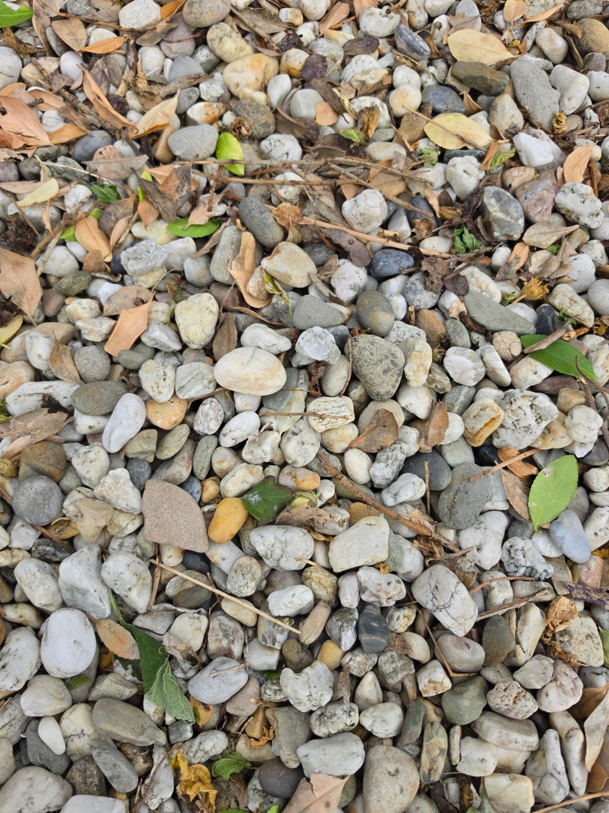 Gratis af te halen: Siergrind/Keien voor tuin of oprit, Ophalen, Gebruikt, Multi, Grind