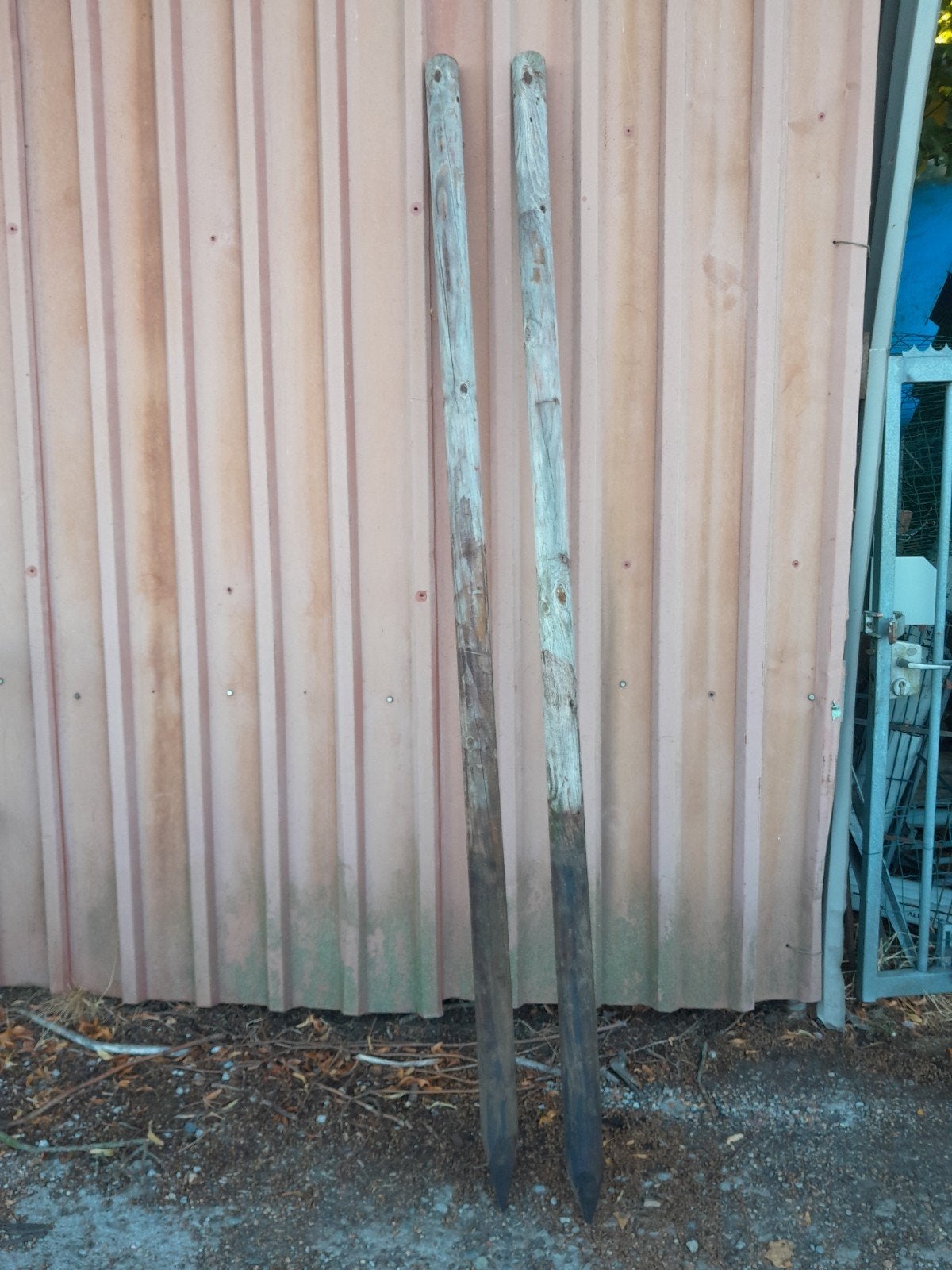 Weidepalen 250 cm lang, 8 cm doorsnee, Ophalen, Gebruikt, 250 cm of meer, Palen