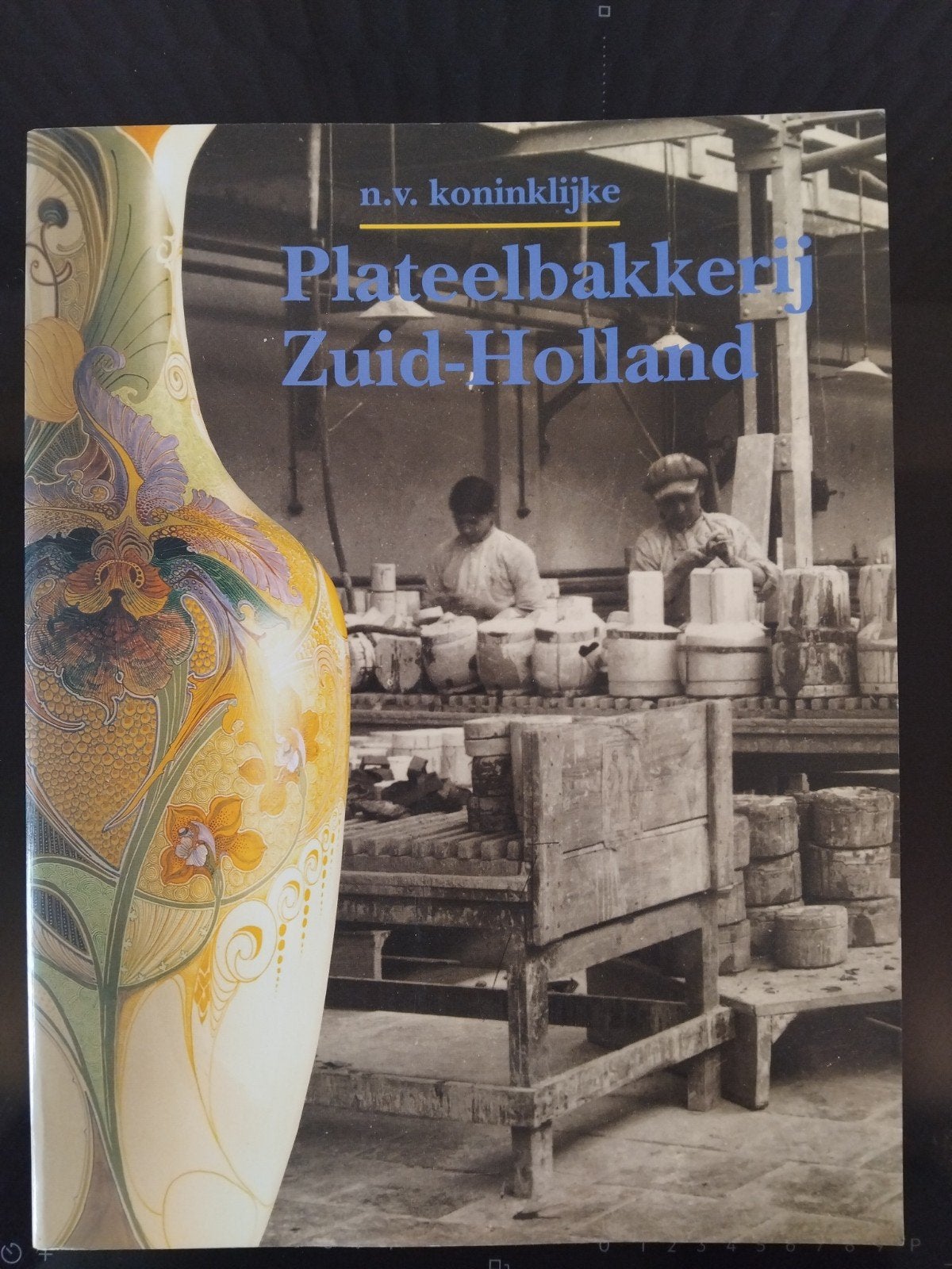 N.V. Koninklijke Plateelbakkerij Zuid-Holland, Ophalen of Verzenden, Zo goed als nieuw, Diverse auteurs, Nederland