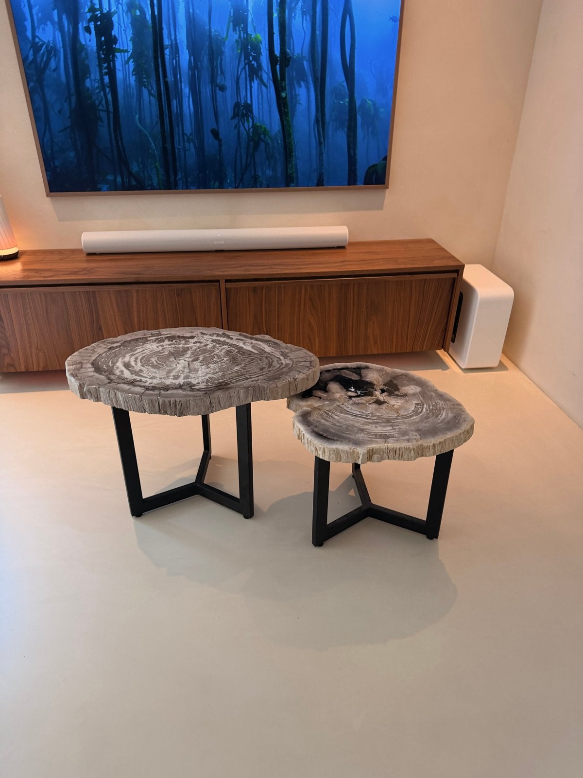 Set van 2 Versteend Hout Salontafels met Poten, Huis en Inrichting, Tafels | Salontafels, Ophalen, 50 – 75, 50 tot 100 cm, Zo goed als nieuw