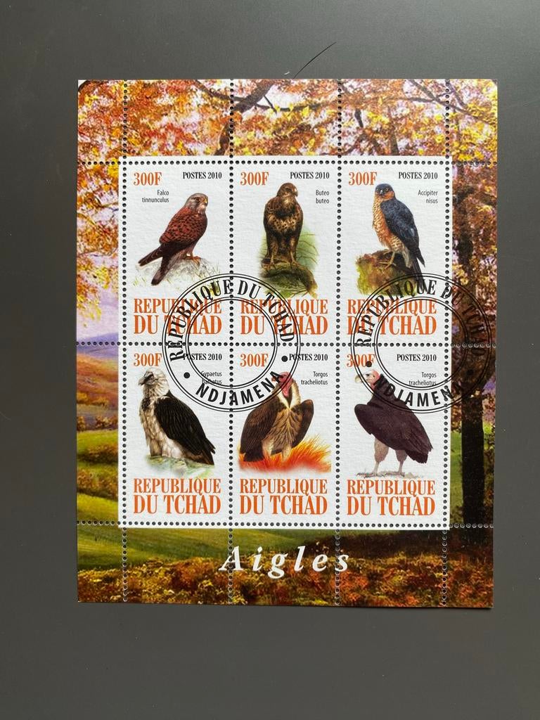 Postzegelvel Republiek Tsjaad 2010 Roofvogels, Ophalen of Verzenden, Overige landen, Gestempeld