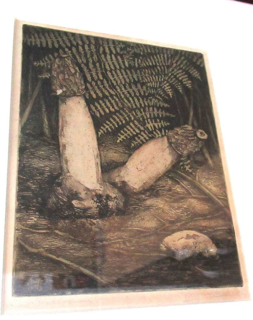 Stinkzwammen Johan Hemkes, Met monogram, Ets, Ophalen of Verzenden, 32 cm