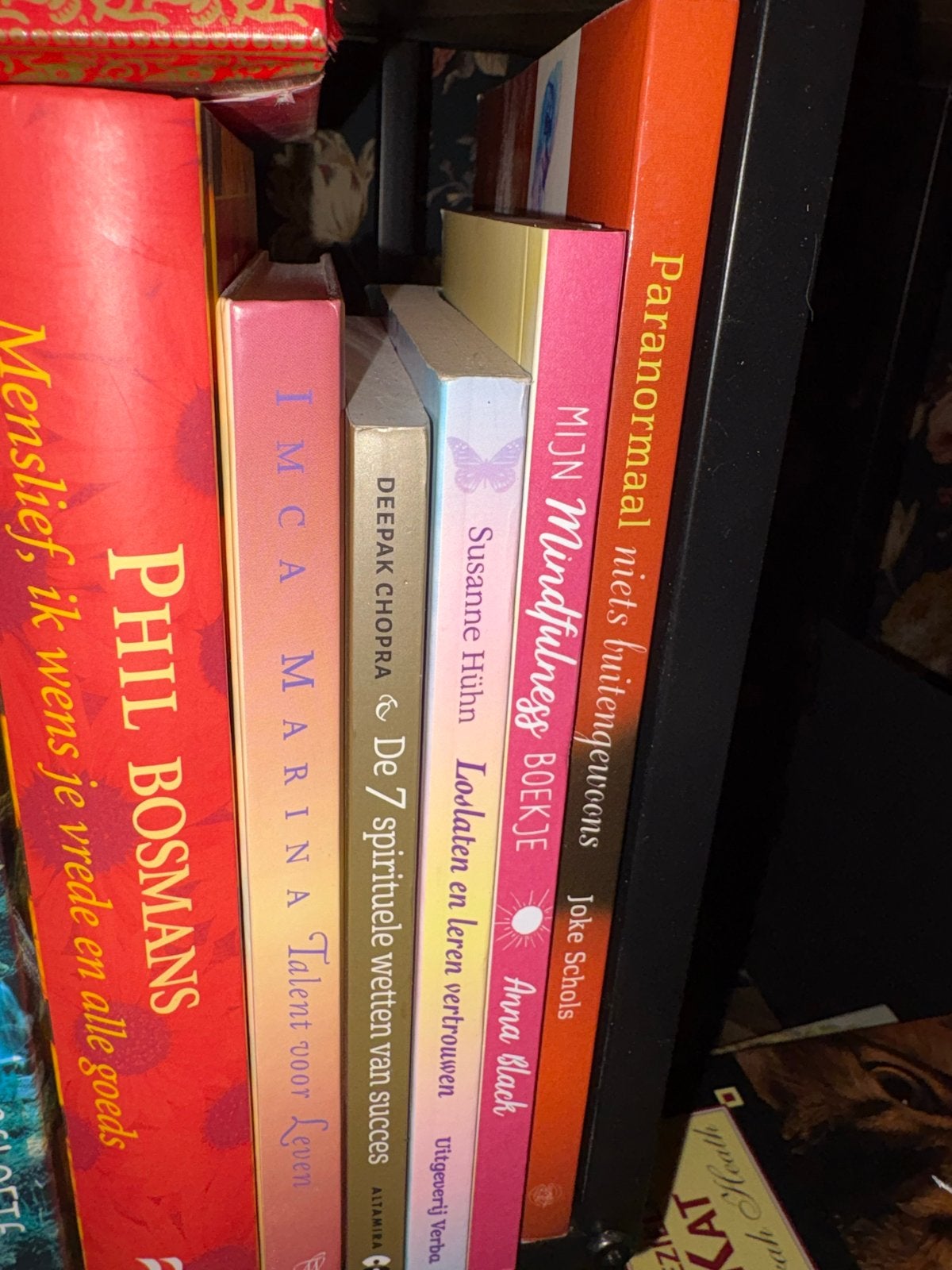 Gezocht: Voordelige spirituele boeken en prentenboeken, Boeken, Esoterie en Spiritualiteit, Ophalen of Verzenden, Gelezen, Spiritualiteit algemeen