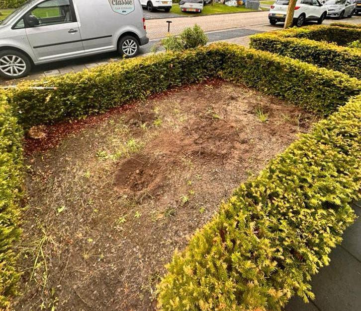 Tuinman omstreeks Hengelo, Deurningen, Borne en Delden, Tuin en Terras, Planten | Tuinplanten, Ophalen