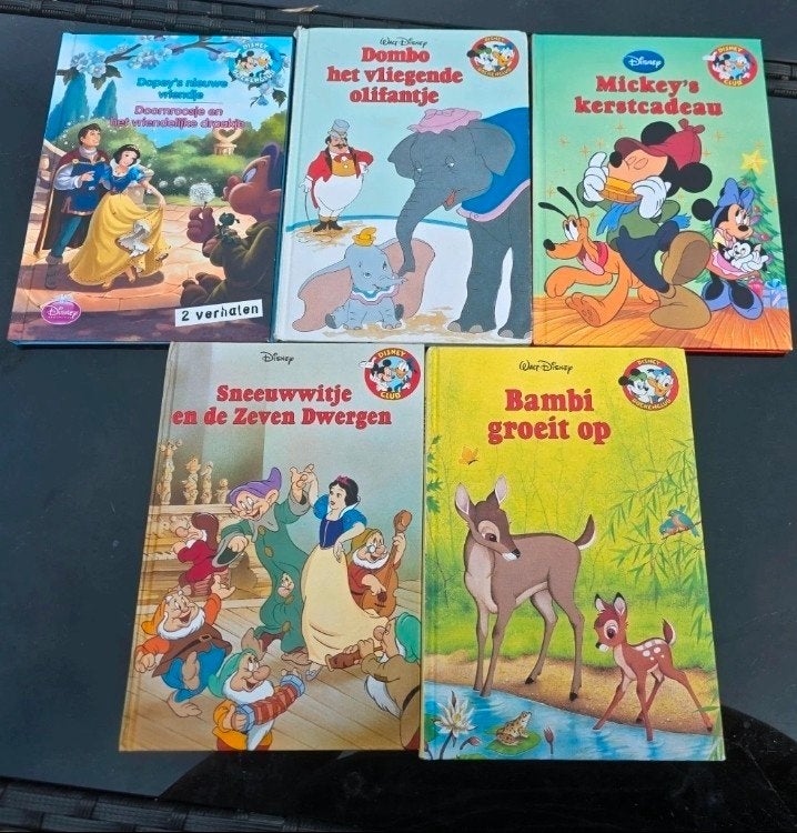 Grote collectie Disney kinderboeken, Ophalen of Verzenden, Gelezen, Walt Disney, Sprookjes