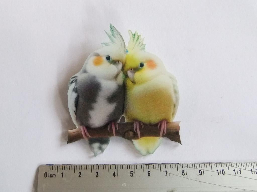 Broche  koppeltje valkparkietjes 8-8cm, Verzenden, Nieuw, Overige materialen