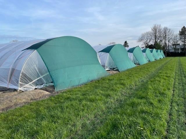 storm doeken voor tunnel kassen, Tuin en Terras, Kassen, Overige materialen, Overige materialen, Kweekkas, Ophalen of Verzenden