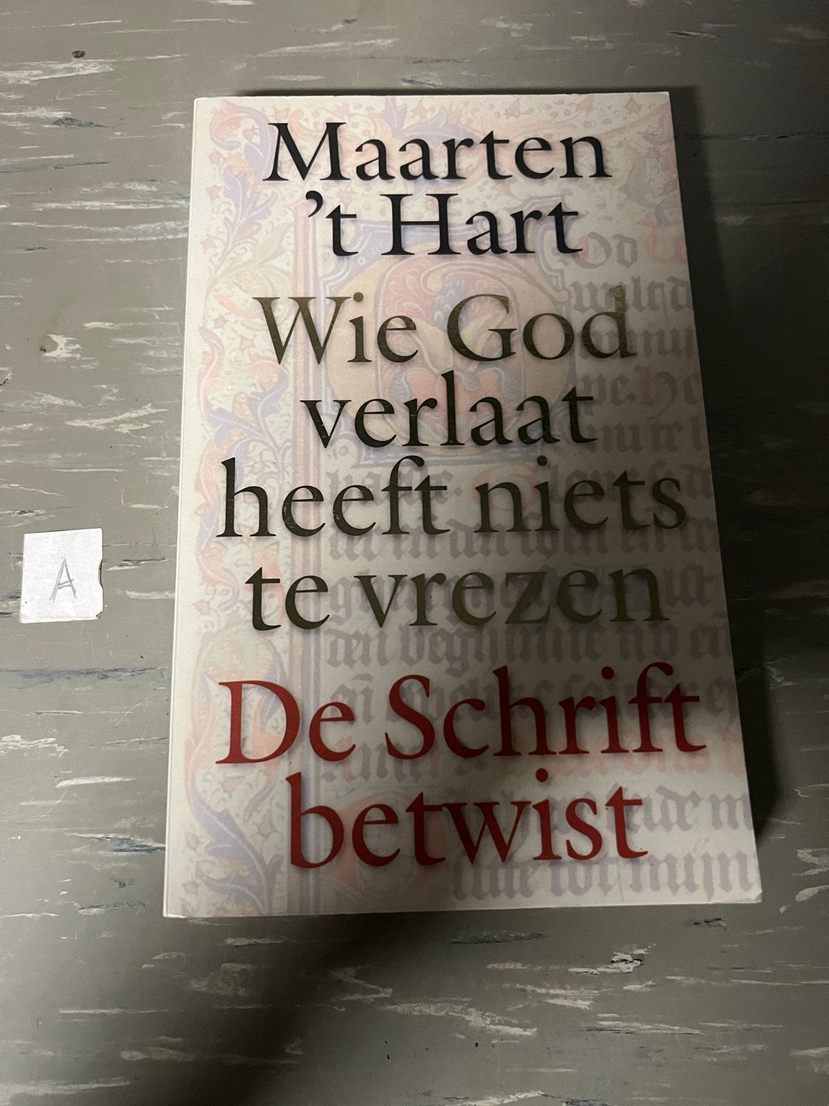 Maarten 't Hart - Wie God verlaat heeft niets te vrezen, Ophalen of Verzenden, Zo goed als nieuw, Christendom | Protestants