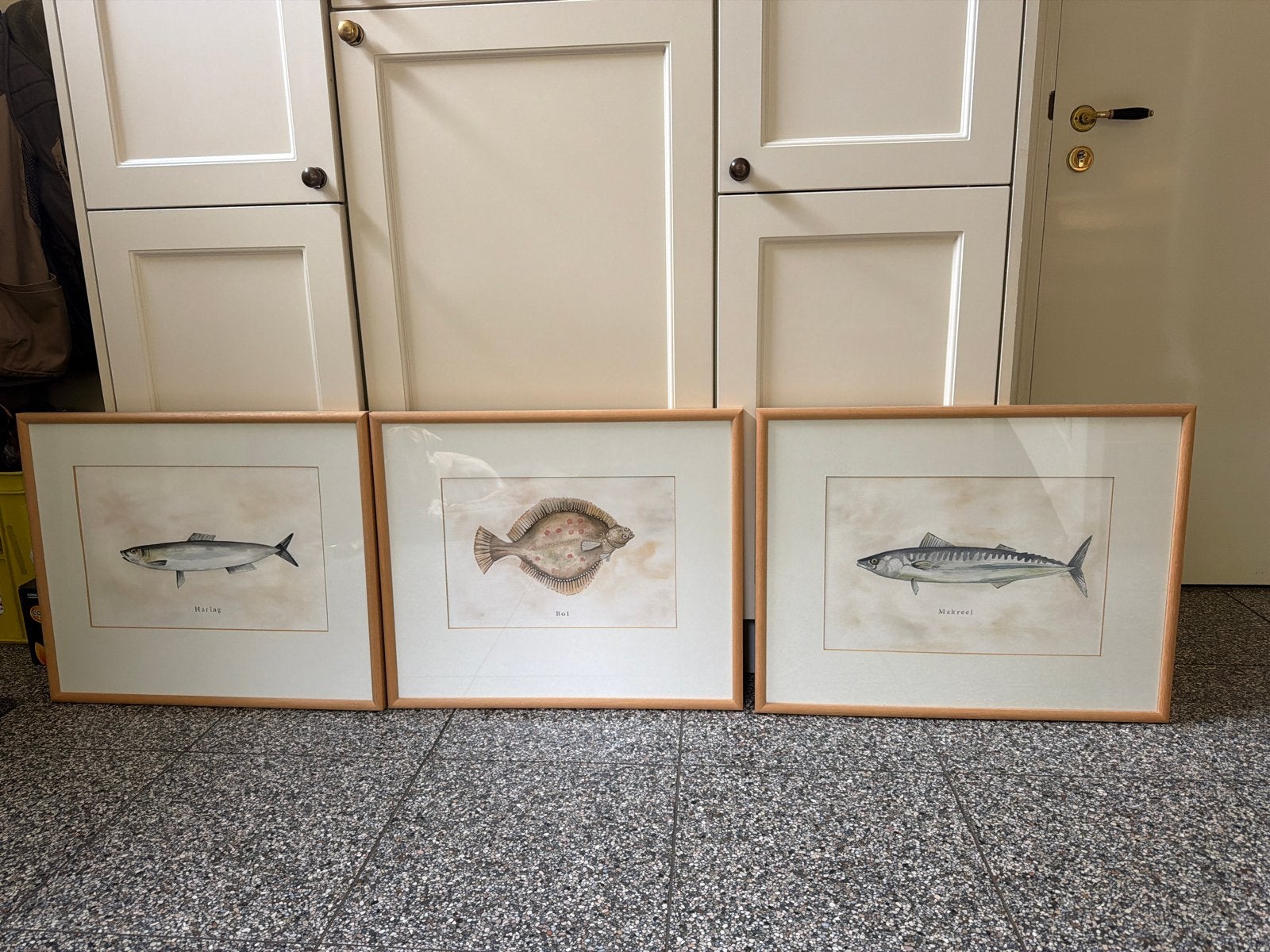 3 Prachtige Aquarellen Vissen in Lijst, Ophalen of Verzenden