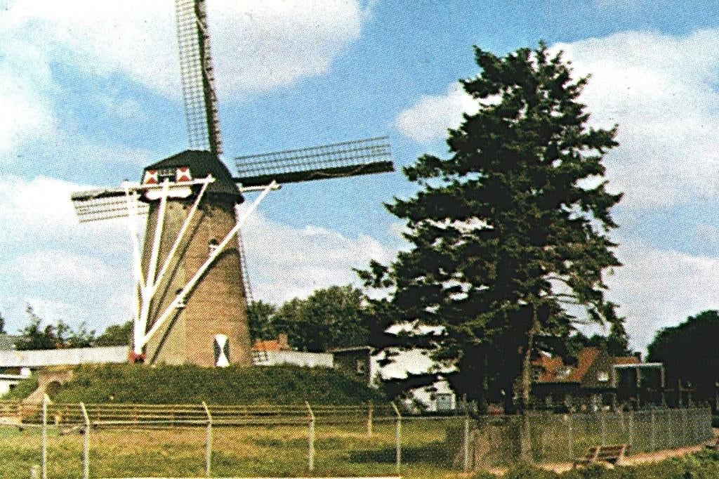 36014 Deurne N Br 80+ Sint Willibrord Niet gelopen, Ophalen of Verzenden, 1980 tot heden, Ongelopen, Noord-Brabant