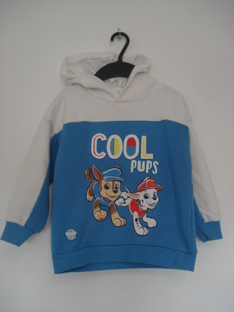 Hoodie mt 110 Paw Patrol, Ophalen of Verzenden, Jongen, Trui of Vest