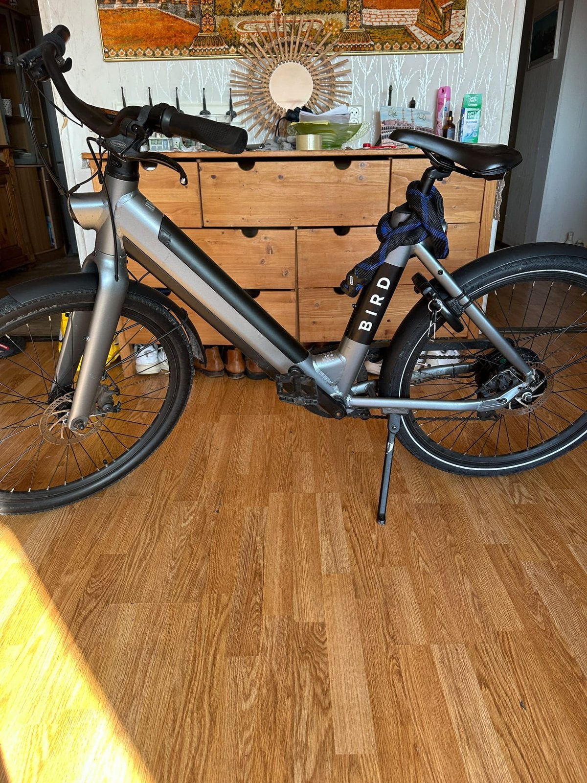 Bird e bike in very good condition, Fietsen en Brommers, Elektrische fietsen, Ophalen, Zo goed als nieuw, Overige merken
