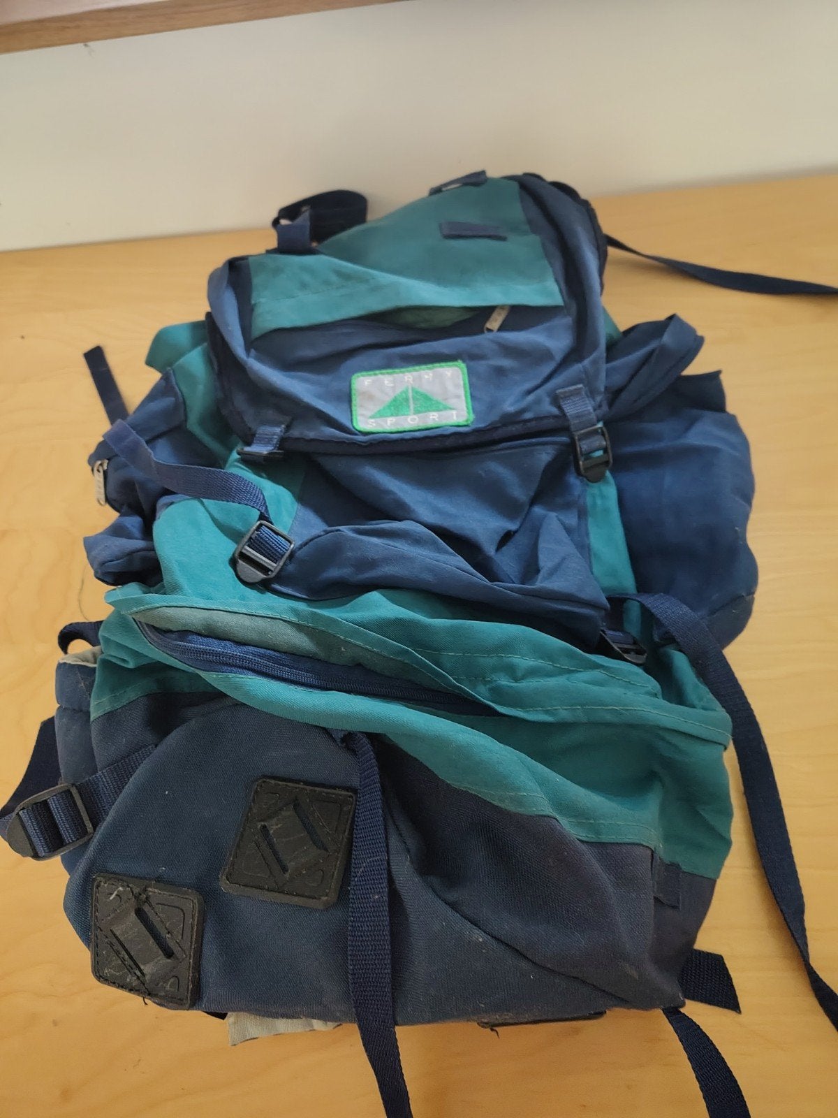 Perry Sport Dames Rugzak - Goede Ondersteuning, Sieraden, Tassen en Uiterlijk, Tassen | Rugtassen, Gebruikt, Overige merken, 25 tot 40 cm