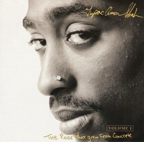 Tupac Shakur ‎– The Rose That Grew From Concrete CD / 2Pac, Verzenden, 2000 tot heden, Gebruikt