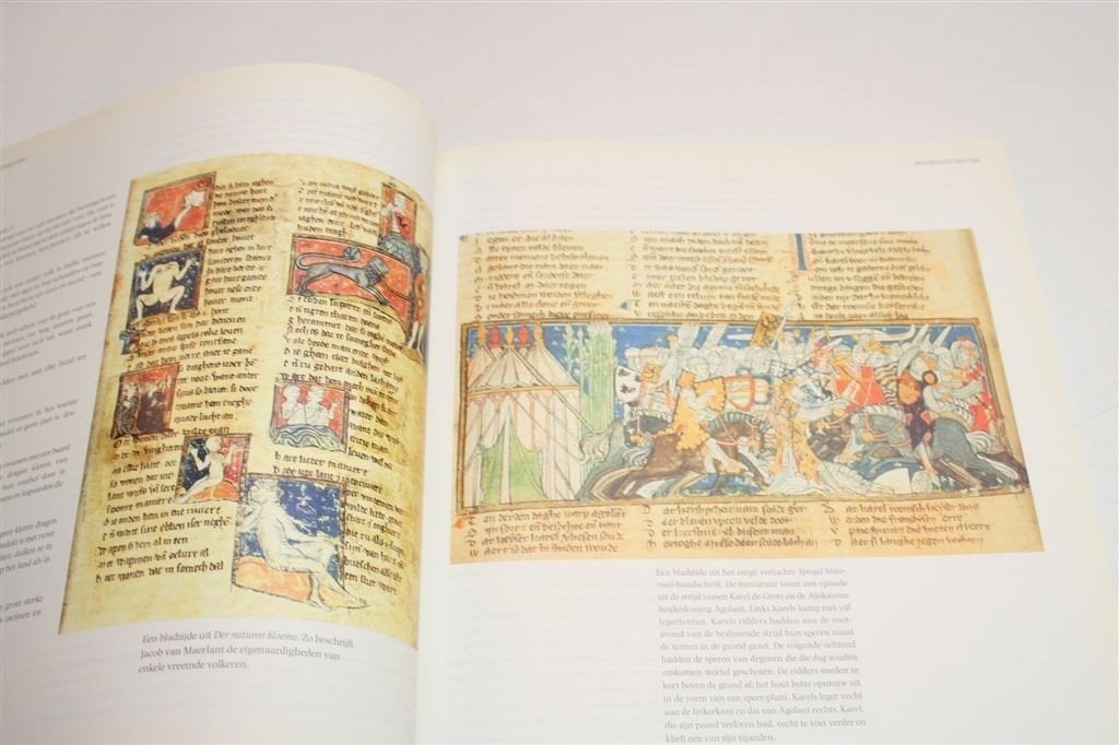 Handgeschreven Wereld — Van Oostrom —Middeleeuwen Literatuur, Ophalen of Verzenden, Gelezen, Europa overig