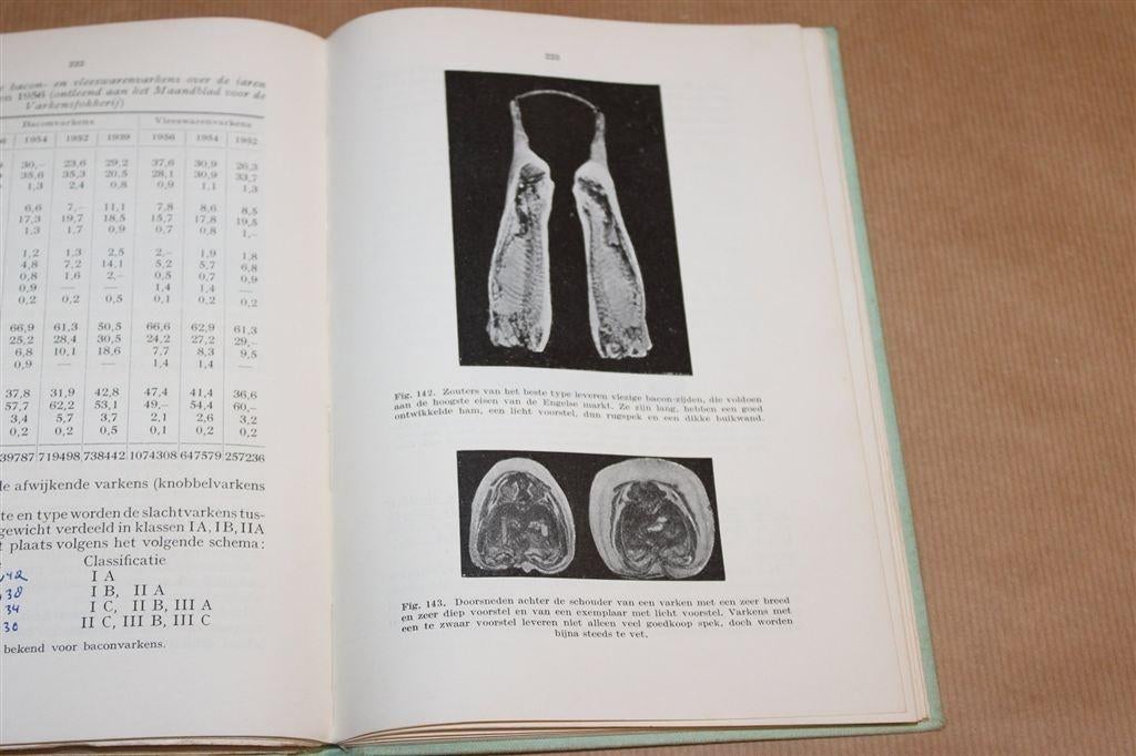 Veeteelt — Handboek Rundvee Varken Schaap — 1958, Boeken, Ophalen of Verzenden, Gelezen