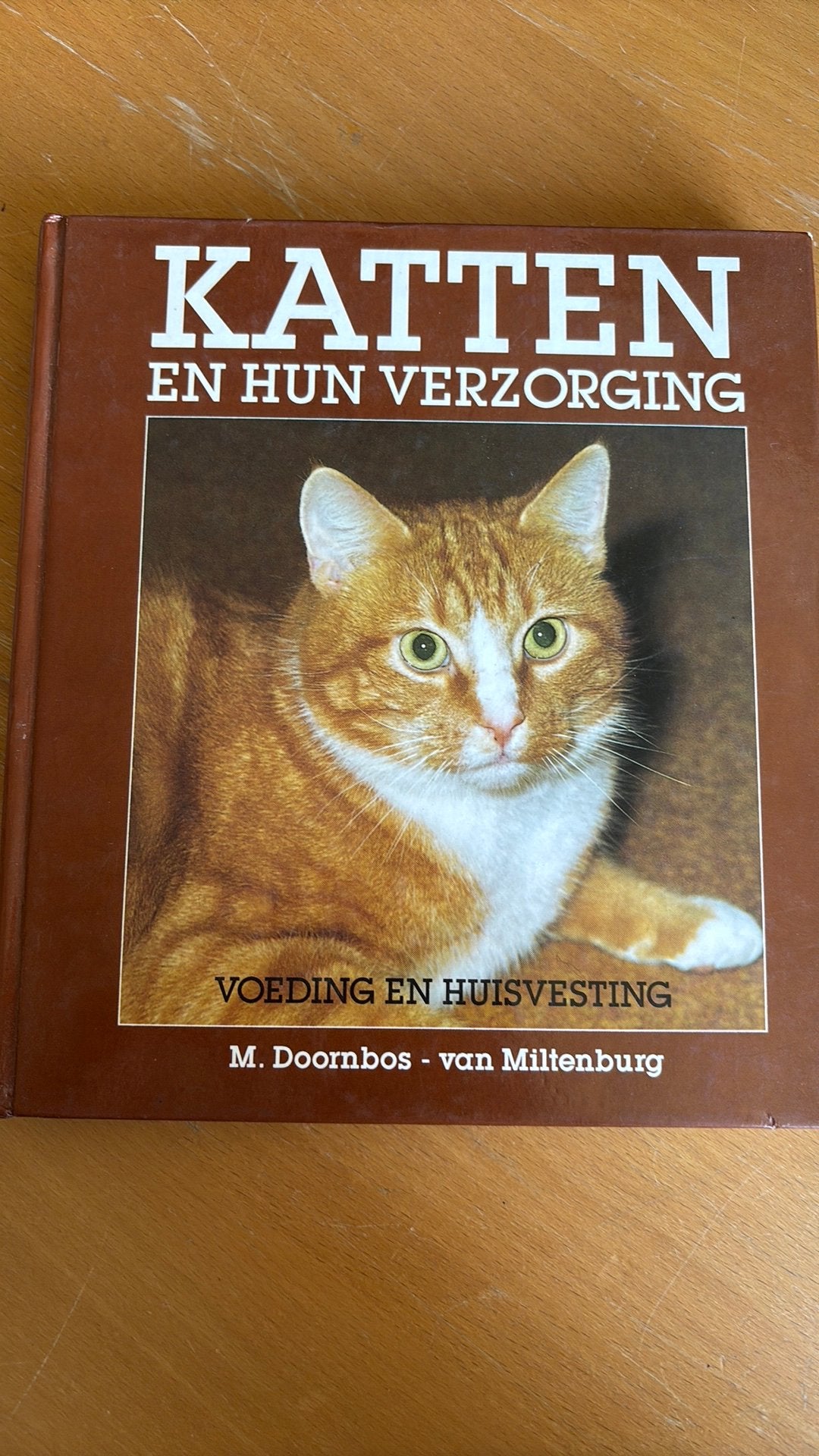 Katten en hun verzorging / Voeding en huisvesting, Boeken, Dieren en Huisdieren, Ophalen of Verzenden, Zo goed als nieuw, Katten