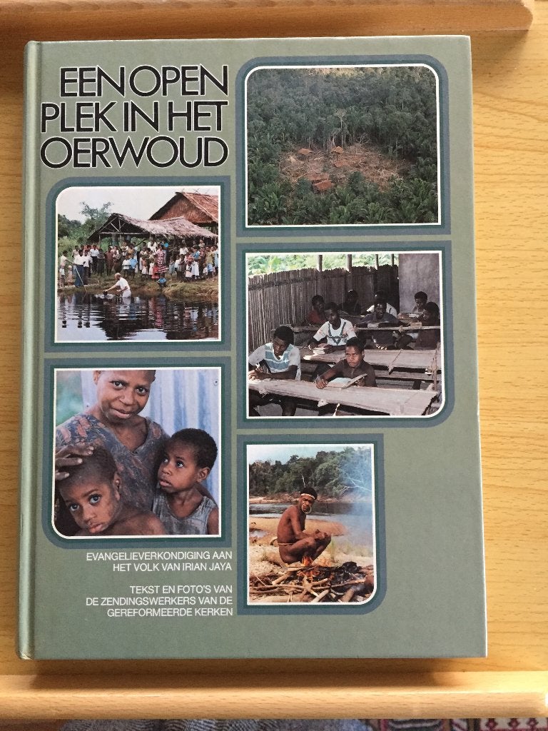 Gereformeerde evangelieverkondiging in Nieuw-Guinea, Ophalen of Verzenden, Zo goed als nieuw, Tj.S. de Vries