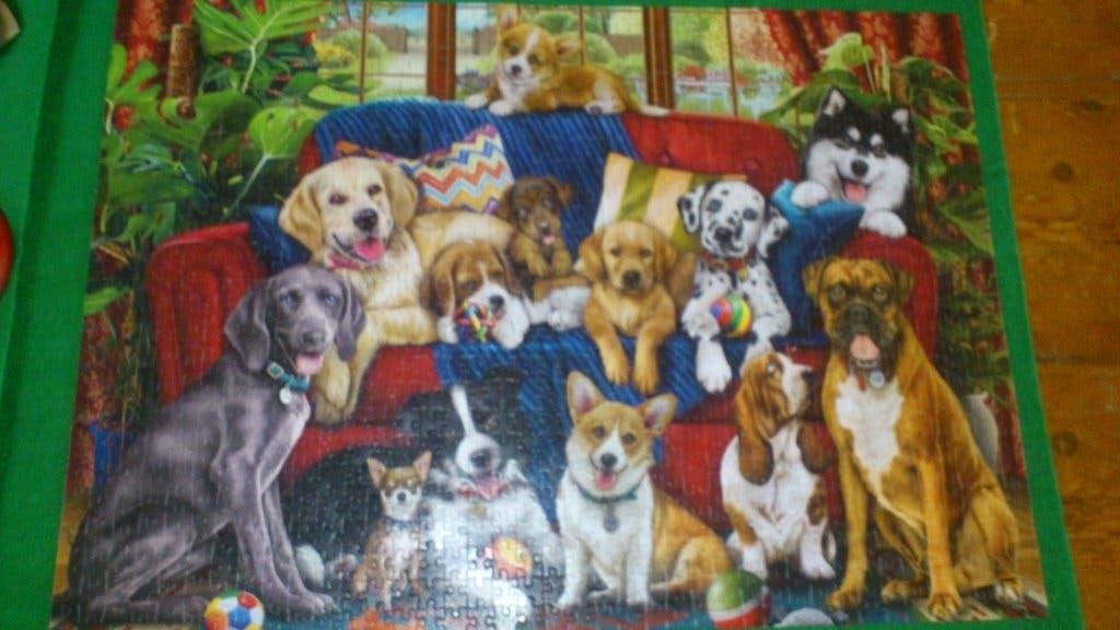 King Puzzel - Dogs on the Bench - 1000 stukjes - Compleet, Ophalen, 500 t/m 1500 stukjes, Zo goed als nieuw, Legpuzzel