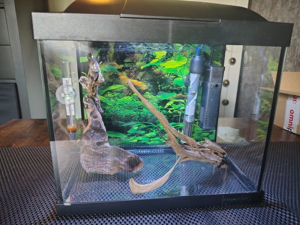 Compleet klein aquarium 30cm | veel accessoires, Ophalen, Inclusief deksel, Gebruikt, Leeg aquarium