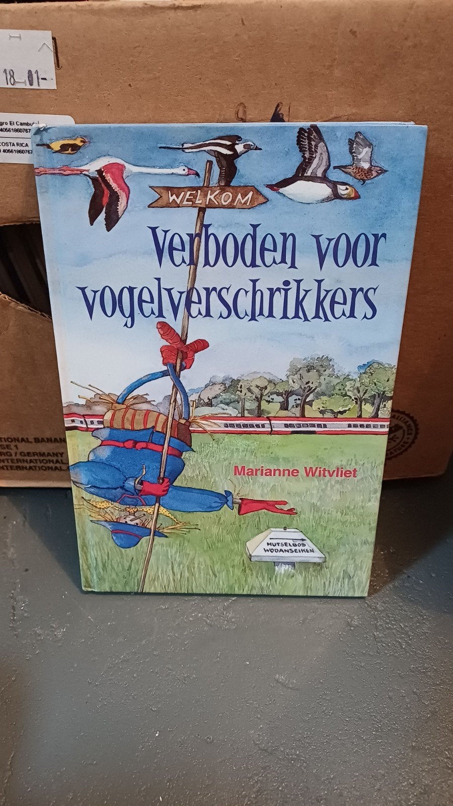Verboden voor vogelverschrikkers - Marianne Witvliet, Boeken, Ophalen of Verzenden, Gelezen, Marianne Witvliet, Fictie