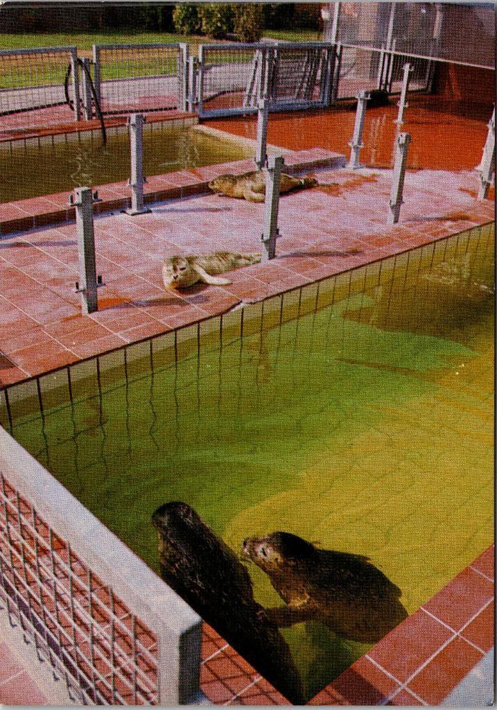 Zeehondencentrum Pieterburen - 10 ansichtkaarten, Verzamelen, Ansichtkaarten | Nederland, Verzenden, 1980 tot heden, Ongelopen